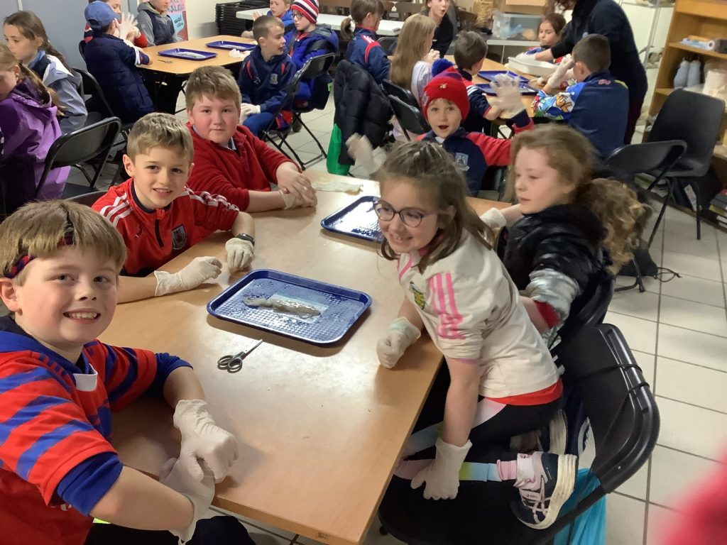 Kilchreest National School Sixth Class pupils during the 2025-2026 school year