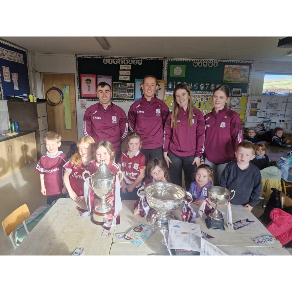 Sports image from Sport across school life – Galway camogie visit