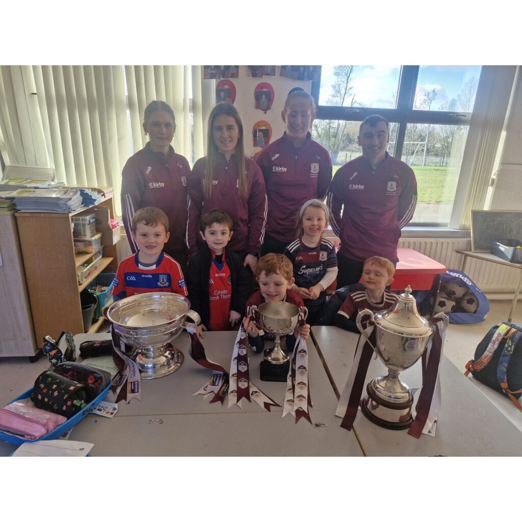 Sports image from Sport across school life – Galway camogie visit