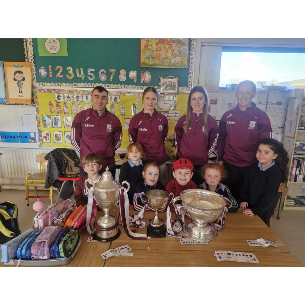 Sports image from Sport across school life – Galway camogie visit