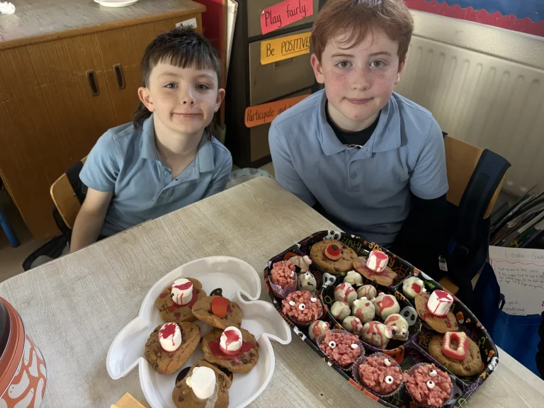 Kilchreest National School: Learning in action
